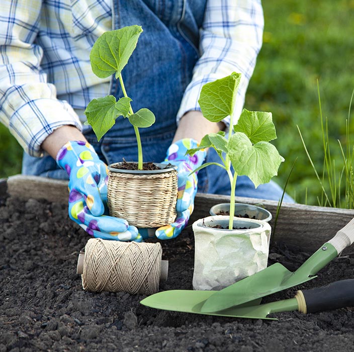 Gardening 4